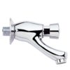 Commercial Timed Flow Wall Bib Tap - Non Concussive Tap