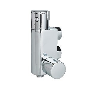 Compact Vertical Thermostatic Shower Valve